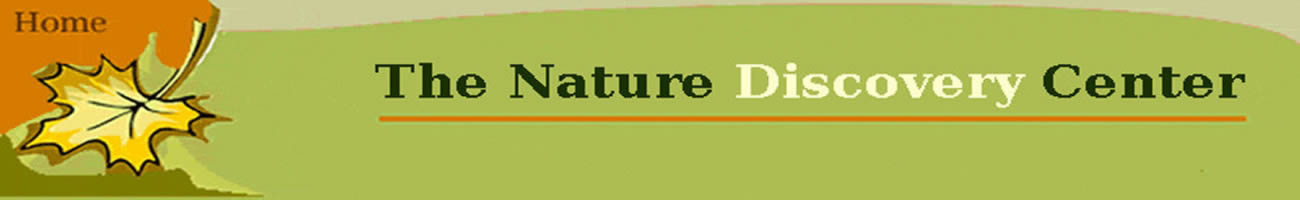 The Nature Discovery Center logo